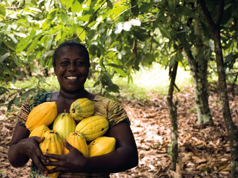 African female farmer holding cocoa